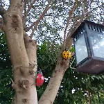 Casa vacanze Fienile Paradiso Tuscany