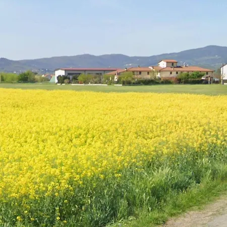 Fienile Paradiso Tuscany * Campi Bisenzio