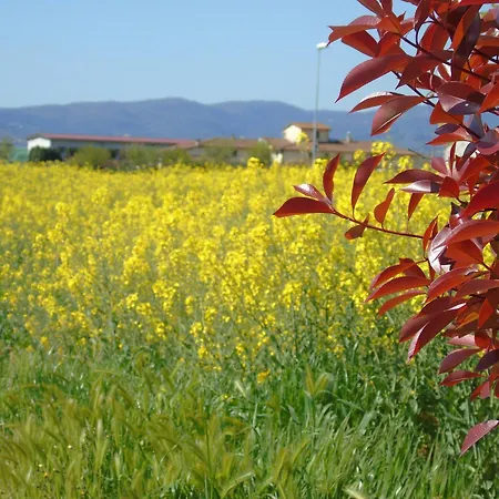 Fienile Paradiso Tuscany